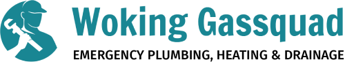 woking Gassquad logo